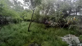 فروش خانه کلنگی محدوده آمل