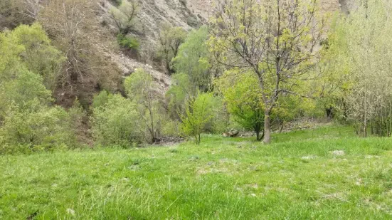 خرید زمین آمل ( لاریجان )
