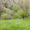 خرید زمین آمل ( لاریجان )