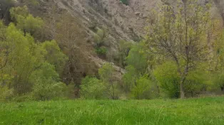 خرید زمین آمل ( لاریجان )
