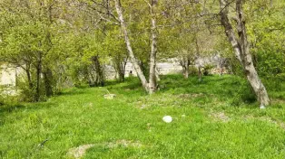 خرید زمین آمل ( لاریجان )