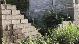 خرید زمین ساحلی محمودآباد