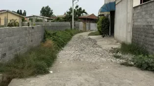 فروش ۲۲۵ متر زمین سرخرود
