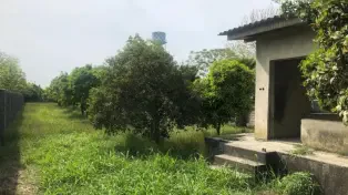 فروش 1200 متر زمین در سرخرود