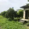 فروش 1200 متر زمین در سرخرود