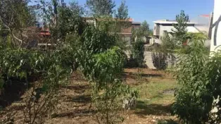 فروش ویلا باغ استخردار 3 خواب شهرک ساحلی