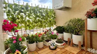 فروش آپارتمان ۱۶۰ متری نوساز آمل