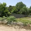 زمین ویلایی ساحلی