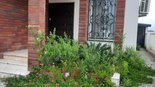 فروش ویلا 276 متری 3خواب در سرخرود