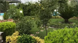 فروش ویلا ۱۵۰ متری دوبلکس ساحلی استخردار سرخرود