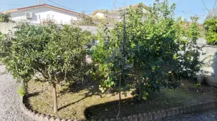 خونه باغ دنج و جذاب