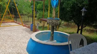 ویلا باغ ۳۵۰ متری شهر سرخرود
