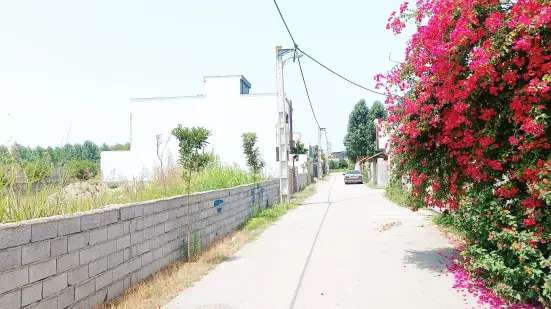 فروش زمین مسکونی 250 متری سرخرود