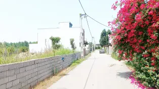 فروش زمین مسکونی 250 متری سرخرود