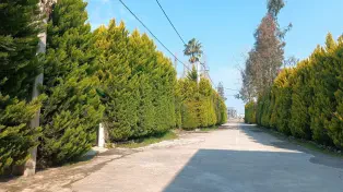 فروش 230 متر زمین شهرکی سرخرود سنددار