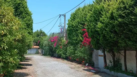 زمین ساحلی سرخرود 210 متر داخل بافت
