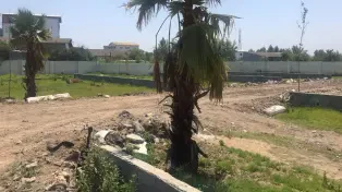 فروش زمین مسکونی وسند دار در سرخرود