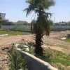فروش زمین مسکونی وسند دار در سرخرود