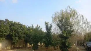 ویلا باغ استخردار حومه آمل