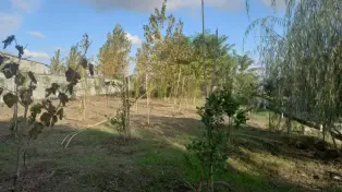 ویلا باغ استخردار حومه آمل