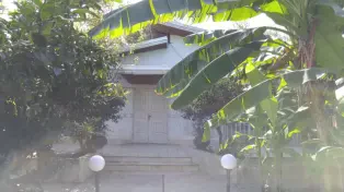 ویلا باغ شهرکی ۵۰۰ متری دریا