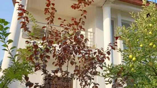 ویلا لاکچری شهرک برند ساحلی