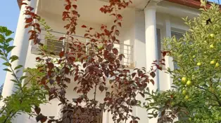 ویلا لاکچری شهرک برند ساحلی