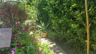 ویلا لاکچری شهرک برند ساحلی