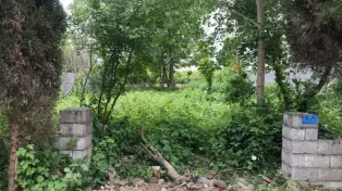 فروش زمین ساحلی در ساحل سرخرود با شرایط اقساطی