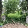 فروش زمین ساحلی در ساحل سرخرود با شرایط اقساطی
