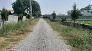 فروش ۲۵۲ متر زمین خوش قواره در محمودآباد