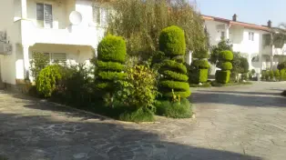 فروش زمین سند دار در بهترین لوکیشن ساحل سرخرود