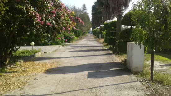 خرید زمین شهرکی سند دار در سرخرود