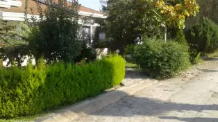 زمین سند دار قابل ساخت واقع در ساحل زیبای سرخرود