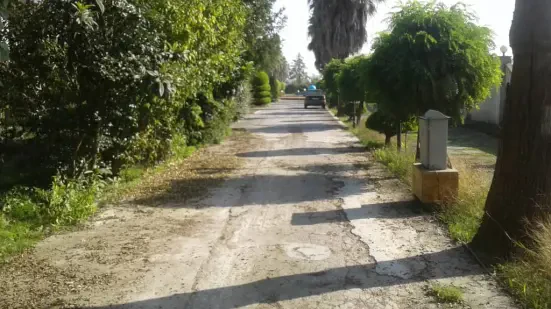 فروش زمین 241 متری مسکونی در ساحل سرخرود