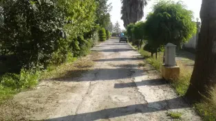 فروش زمین 241 متری مسکونی در ساحل سرخرود