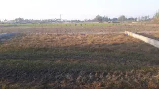 فروش زمین در ساحل محموداباد با سند