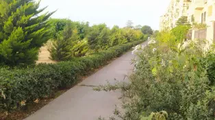 فروش واحد ساحلی