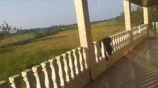 فروش خونه باغ با ویوی عالی