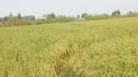 فروش یه زمین خوب