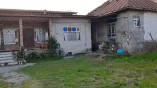یه کلنگی به قیمت