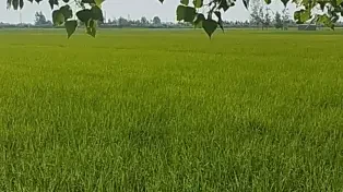 یه زمین عاااااااااالی به قیمت