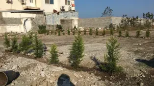 خرید زمین مسکونی در سرخرود