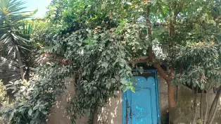 274 متر ویلا سند دار به قیمت زمین خام