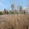 120 متر زمین شهرکی با سند داخل بافت