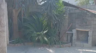 اجاره سالانه 301 متر ویلا سنتی سرخرود