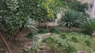 فروش ویلای۳۵۰ متری