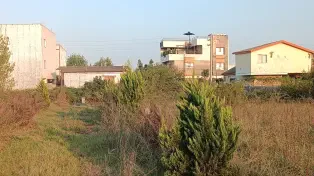 202 متر زمین مسکونی علمه سرخرود