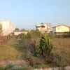 202 متر زمین مسکونی علمه سرخرود