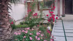 ویلا شهرکی